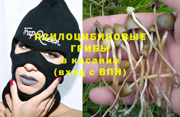 каннабис Касимов