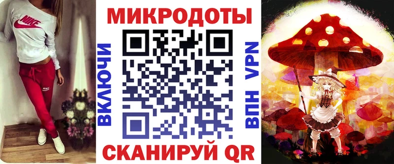 Псилоцибиновые грибы Psilocybine cubensis  Нальчик 